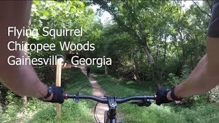 Flying Squirrel at Chicopee Woods Gainesville Georgia [upl. by Yur]