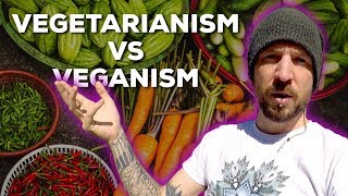 Why Im Vegetarian amp NOT Vegan [upl. by Nylitsirk905]