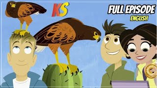 wild kratts  wolf hawk  Full episode  HD  kratts series  english [upl. by Ogg994]