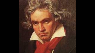 Beethoven String Quartet in Bflat major Op 130  5 Cavatina [upl. by Kyl994]