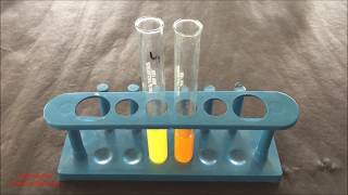 Phytochemical Test for Flavonoid  Flavonoid Identification Test  Flavonoid Test  ENGLISH [upl. by Blight680]