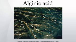 Alginic acid [upl. by Lux]