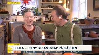 Mandelmanns är tillbaka med nya djur ”Blev inga kameler”  Nyhetsmorgon TV4 [upl. by Wollis]