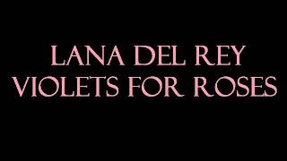 Lana Del Rey  Violets for Roses KaraokeInstrumental [upl. by Haimrej]