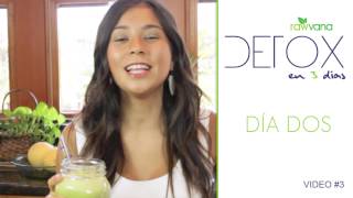 DETOX de Jugos en 3 dias Dia 2 3 Day Juice DETOX  Day 2 [upl. by Roarke]