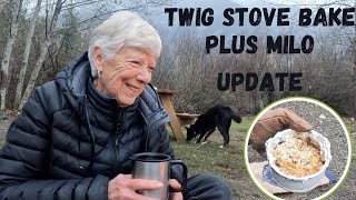 November CampingBushBox Bake and Milo Update [upl. by Mahoney]