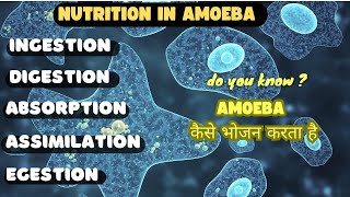 NUTRITION IN AMOEBA  LIFE PROCESSES [upl. by Blen]