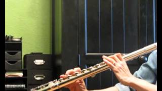 Gemeinhardt Alto Flute used For Sale  Sound Demo [upl. by Hulbard]