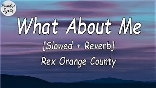 Rex Orange County  What About Me Slowed  Reverb TelevisionSo Far So Good Lyrics Video [upl. by Nurat]