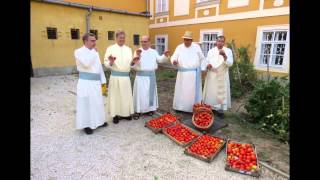 Bemutatjuk a csornai premontrei rendet [upl. by Cori]