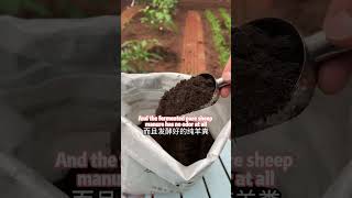 如何种植高产的水果和蔬菜How to grow fruits and vegetables with high yield 园艺分享 花草 garden 养花 https种植技术 科普 [upl. by Lukey725]