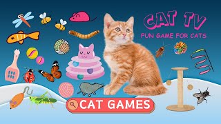 🐭 CAT GAMES 🐱 1 Hour of Ultimate Cat Entertainment  Moving Mouse Birds and Fish  CAT TV 🐦🐟🐭🐱🐾🐁⚽🕷🐛 [upl. by Ainecey]