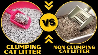 Clumping vs Non Clumping Cat Litter Whats the Difference [upl. by Yeldah]