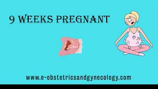 9 Weeks Pregnant  Pregnancy Symptoms Development Ultrasound Belly and Baby [upl. by Engleman]