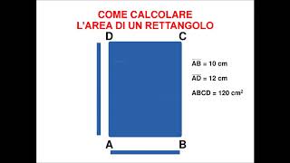 Come si calcola larea del rettangolo [upl. by Saticilef181]