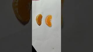 Orange lemon 🍋 drawing।। easy drawing artshorts lemon [upl. by Algar]