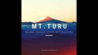 🎵 Mt Turu  Malmo Jungle Voice of Yangoru  Epic Papua New Guinea Beats 🇵🇬🔥 MtTuru MalmoJungle [upl. by Osnofedli902]