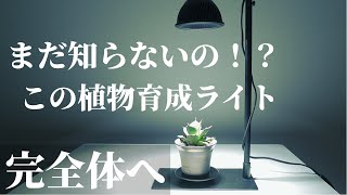 【植物育成用LEDライト】初心者にもオススメ！室内に太陽！はるデザイン「新型HASU38 Spec9」レビュー！コスパ最高室内管理も安心！観葉植物｜アガベ｜塊根植物｜多肉植物｜ビカクシダ｜エアプランツ [upl. by Ogires]