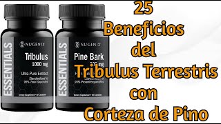 25 Beneficios de Suplementar Tribulus Terrestris con Corteza de Pino httpsamznto3Sg1giL [upl. by Boynton]