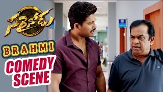 Home Theatre Comedy scene  Sarrainodu  Allu Arjun Rakul Preet Catherine Tresa [upl. by Ahsienat643]