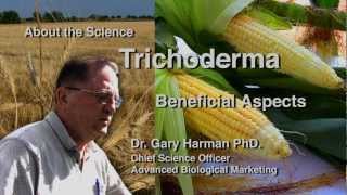 Dr Gary Harman Beneficial Aspects of Trichoderma [upl. by Omidyar]