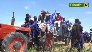 REPORTAGE NGOP DAROU SALAM BOKKI BARGUA [upl. by Nosille]