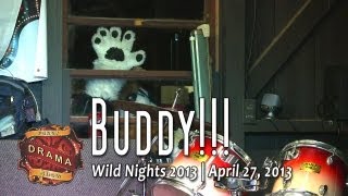 Wild Nights Furry Drama Show Buddy [upl. by Callas]