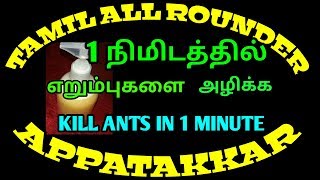 kill ants in 1 minuteஎறும்பு மருந்து எறும்பு தொல்லை நீங்க  get rid of ants [upl. by Aneelak]