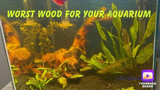 Do Not Buy Mopani Wood For Your Aquarium [upl. by Aieken]