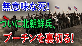 🔥【北朝鮮 ×ロシア】「非常に危険！」北朝鮮アホすぎる！北朝鮮軍基地壊滅 チェチェンモスクワ対立が拡大中‼️ [upl. by Nodnrb]