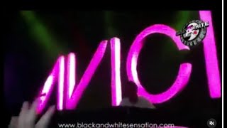 Avicii Live Black And White Festival Governors Island New York 2011 [upl. by Ruperta663]