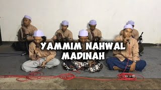 Yammim Nahwal Madinah  Cover Sholawat [upl. by Acinoed629]