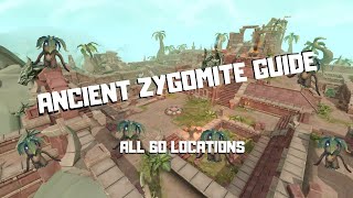 ANCIENT ZYGOMITES GUIDE ALL 60 LOCATIONS  ROUTE  LAND OUT OF TIME RS3 [upl. by Nivad]