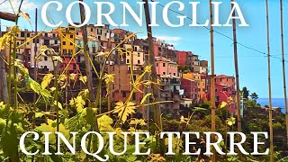 CORNIGLIA  CINQUE TERRE [upl. by Eilitan]