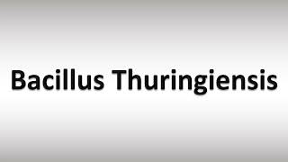 How to Pronounce Bacillus Thuringiensis [upl. by Ronica]