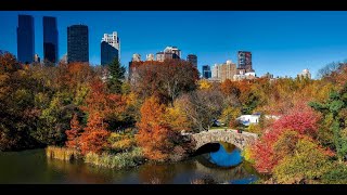 Gapstow Bridge in Central Park New York On the location of movie [upl. by Yelekalb]