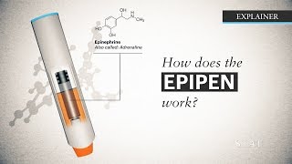 How does the EpiPen work [upl. by Indira]