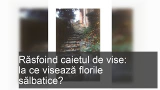 Răsfoind cartea de vis despre ce visează florile sălbatice [upl. by Aicsile]