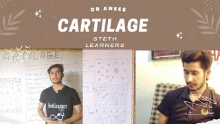 CartilagePart 1Bd ChaurasiaGeneralAnatomyChapter 2Cartilage structurecartilage growthDr Anees [upl. by Gwenny967]