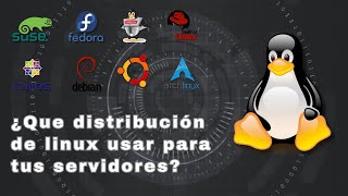 Que distribución Linux usar para servidores [upl. by Yttam]