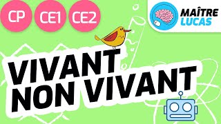 Vivant et non vivant CP  CE1  CE2  Cycle 2  Questionner le monde  Le monde du vivant [upl. by Cati]