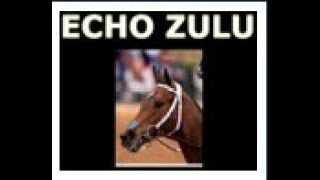 Echo Zulu Every Career Start [upl. by Susejedesoj]