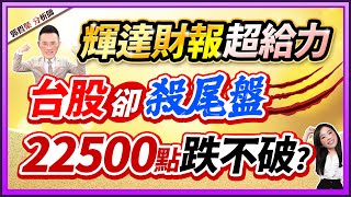 【輝達財報超給力 台股卻是殺尾盤 22500點跌不破 】20241121字幕版 [upl. by Ahsyekat193]