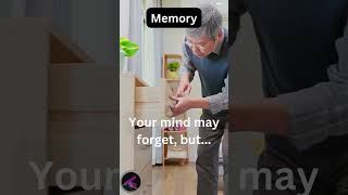 From Mind to Memory Exploring the Secrets of Cognition [upl. by Humble]