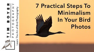 7 Practical Steps To Minimalism In Your Bird Photos [upl. by Flavian]