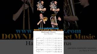 🙌 Handel Hallelujah Chorus Low Brass 🙌 handel hallelujahchorus trombone euphonium tuba [upl. by Ardnod653]