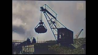 Bietencampagne 1935 1939 Suikerfabriek Groningen [upl. by Adidnere]