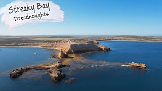 E98  Streaky Bay Dolphins and Whiting [upl. by Aalst736]