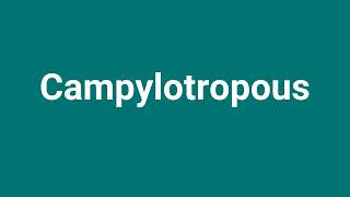 Campylotropous Meaning and Pronunciation [upl. by Aileno]