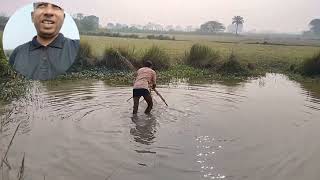 village fish hunting  गांव में मछली पकड़ाने गए तालब में😲 [upl. by Anertac753]